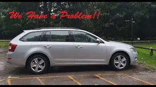Life with an Octavia, We Have a Problem!!!