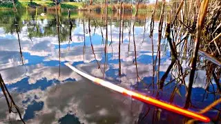 ДОЖДАЛСЯ!💥🔥 ОНИ ПРИШЛИ ГНУТЬ УДОЧКУ В БУБЛИК! РЫБАЛКА НА ПОПЛАВОК