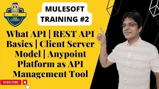 #01: What API | REST API Basics | Client Server Model | Anypoint Platform as API Management Tool