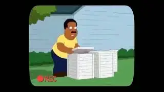 Family guy funny moments