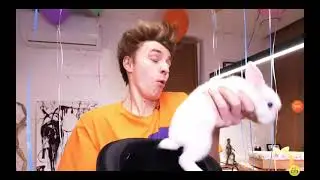 кролик ударил Влада А4 по щеке🤣🤣🤣🤣🤣