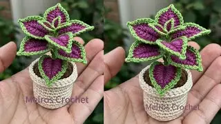 Crochet Flower Pot with Leaves - Very Easy You'll Love It