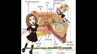 duyu organlarimiZ