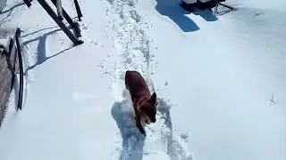 Весной Зима ?!