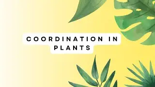 Coordination in Plants | Control and Coordination