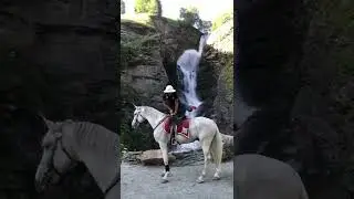 horse trick