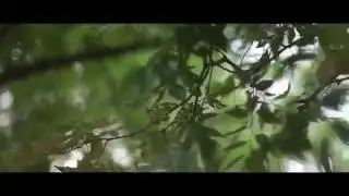 SDE : Meirambek & Aruzhan 06.08.2016