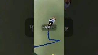 Возвращение блудного попугая 
