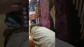 Велико Устюгская гармонь!