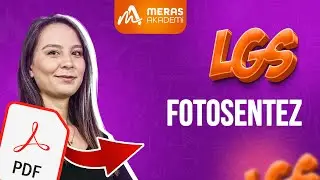 Photosynthesis | Lecture | 2025 LGS Science