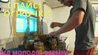 🥒🔥Закриваємо ОГІРКИ ЧИЛІ НА ЗИМУ!