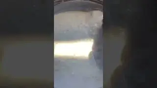 Сырный соус для наггетсов #shorts