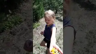 20190718 Летом у бабушки Маруси