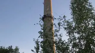 Say A-A-A - FUNовая труба