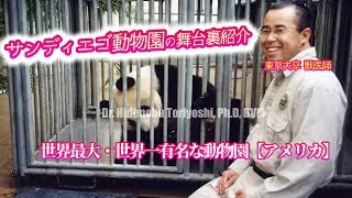 The World Famous San Diego Zoo is the world's most famous zoo. Dr. Hidenobu Toriyoshi, Ph.D, DVM