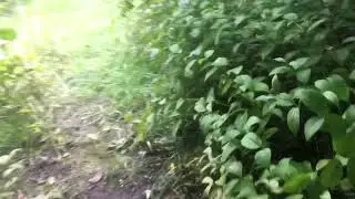 CRAB RAVE LIVE ACTION MUSIC VIDEO
