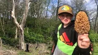Massive Haul Under One Dead Tree || 2025 Morel Mushroom Hunting