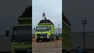 mobil truk dam Hino lohan tebaru mantap mana saingannya 