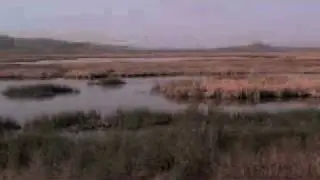 Stillwater National Wildlife Refuge