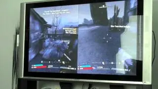 Bad quality filler! Borderlands (1)