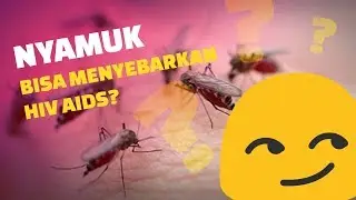 BISAKAH NYAMUK MENULARKAN HIV AIDS??
