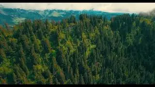 15 Beautiful Nature Stock Footage Royalty-Free, No Copyright, Free Download 