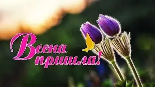 Весеннего настроения