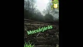 Mocsárjárás az Ipoly partján