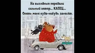 С юмором и позитивом о нас-  девочках 🧚