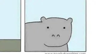 The chronicles of Tiny Hippo.