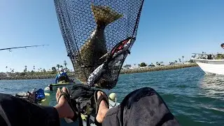 SLOW DRIFTING FOR #HALIBUT IN #SANDIEGO