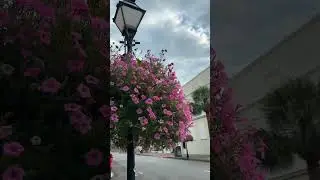 Beautiful South Carolina ♥️