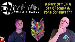 Wolfer Finance: Is This A Rare Gem In A Sea Of Scams & Ponzi Schemes???