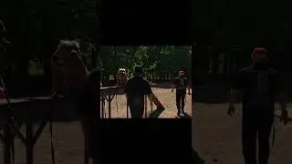 Команда СИДЕТЬ для собаки жестом руки / Совет кинолога