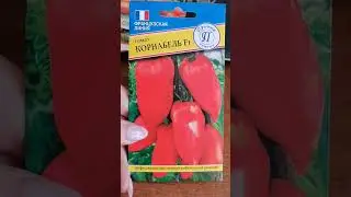 7 марта 2023 года🌷 Хроники дня/ поездка на дачу /моя рассада 🌱/ планы/ подарки 🎁