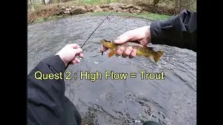Exploring Spring Creek- Boalsburg Part 1