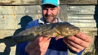 Florida State Record Toad Fish Bowfishing BAA Submission