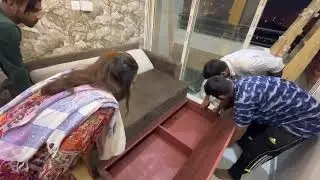 Kolkata available sofa cum bed space saving sofa size 6/6 wooden & plywood Mix call 