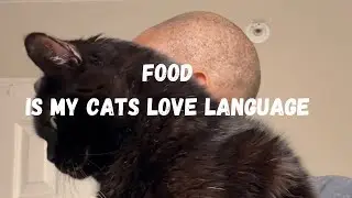 Food is my cats LOVE LANGUAGE!