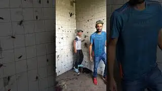 TINHA VÁRIAS BARATAS E MOSQUITO NO QUARTO ABANDONADA