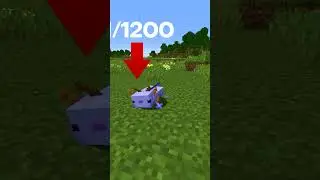 The Rarest Mob in my Minecraft World