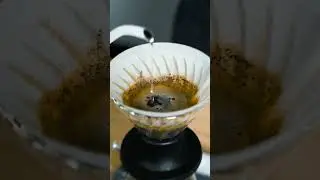Hario Switch V60 | Brew Guide 