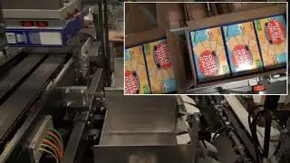 38237 BluePrint Automation (BPA) Case Packer Gantry 300 Swing