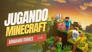 Live | UN SURVIVAL DE CHILL | Minecraft
