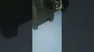 aso takot sa multo