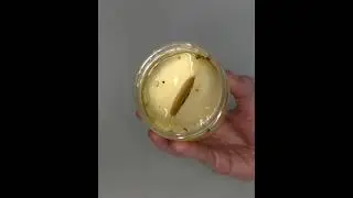 Bioaqua маска-патчи для кожи вокруг глаз с лепестками золотого Османтуса