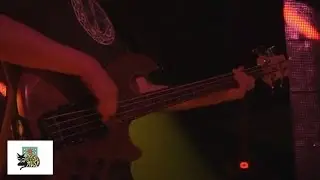 Ott & The All Seeing I - Daisies And Rubies (Live)