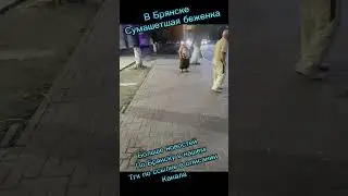 Сумасшедшая беженка