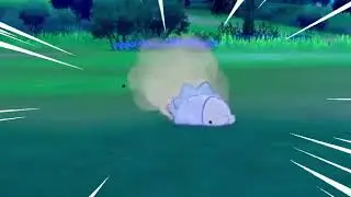 Speed of Snom