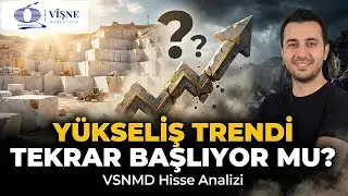 TAHTACI NERDEN ALIM YAPIYOR? | Vişne Madencilik (VSNMD) Hisse Analizi